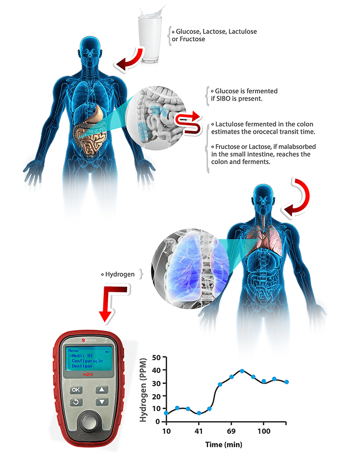 Expired Hydrogen Test